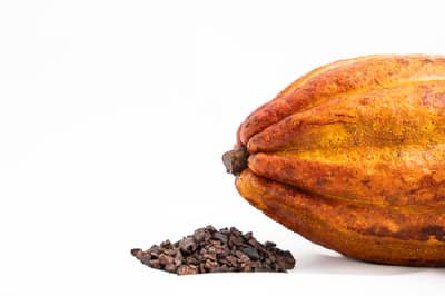 A split cacao pod beside finished dark chocolate