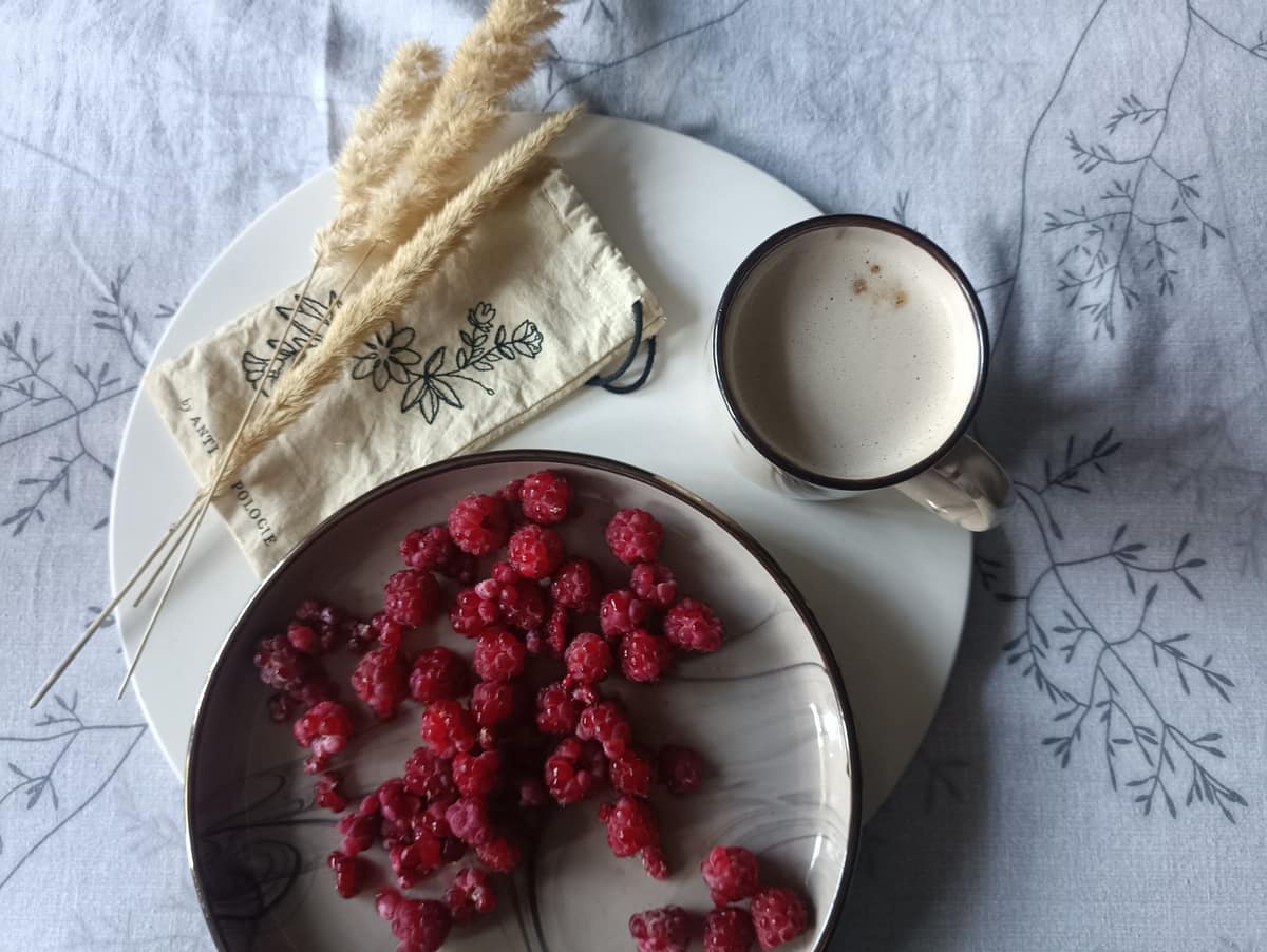 Freeze-dried berries in a bowl with a serving spoon
