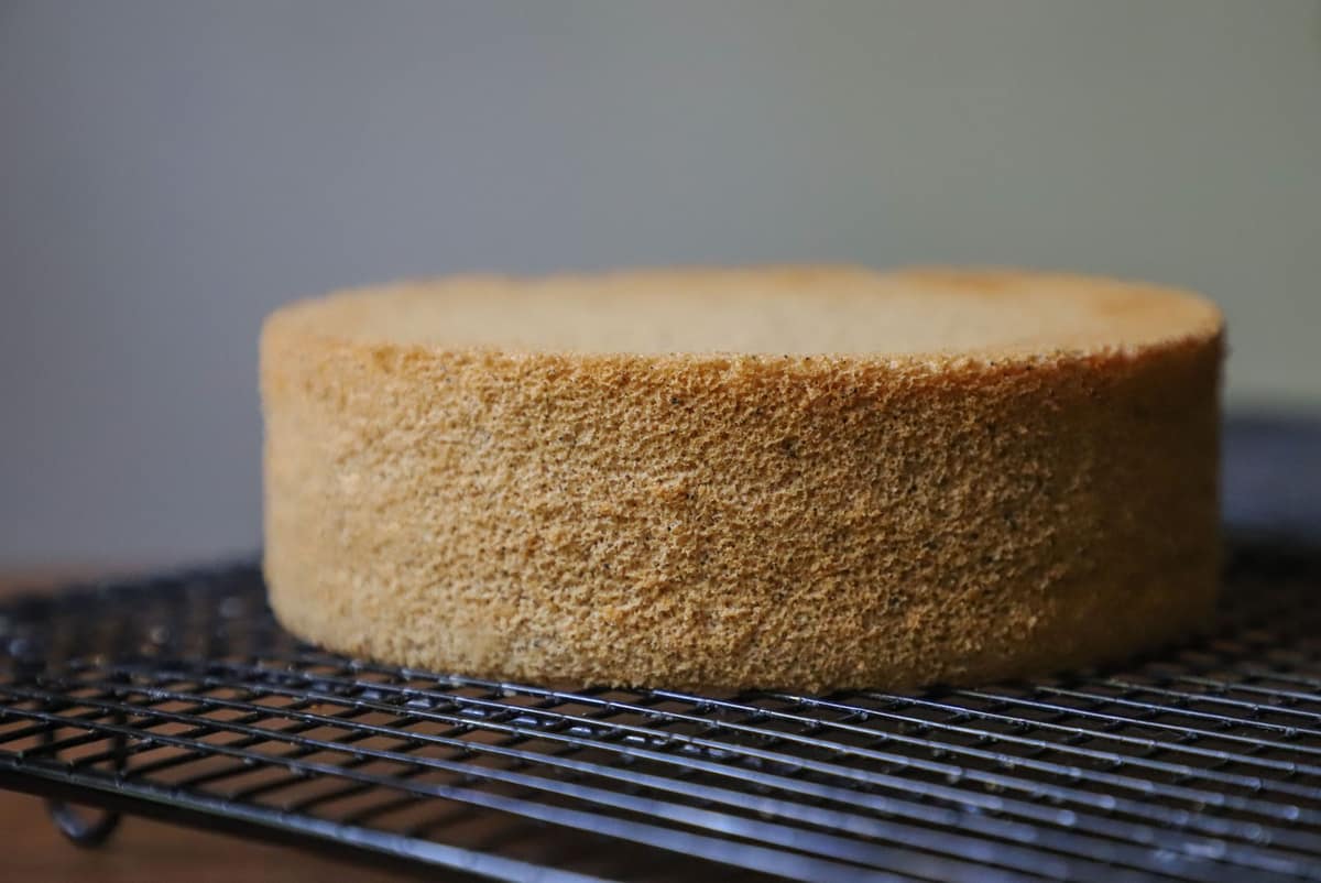A golden genoise sponge cooling on a wire rack
