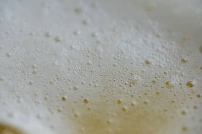 A bubbly, active poolish pre-ferment