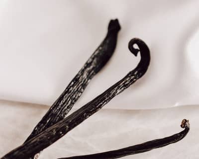 Whole vanilla pods with a vanilla blossom