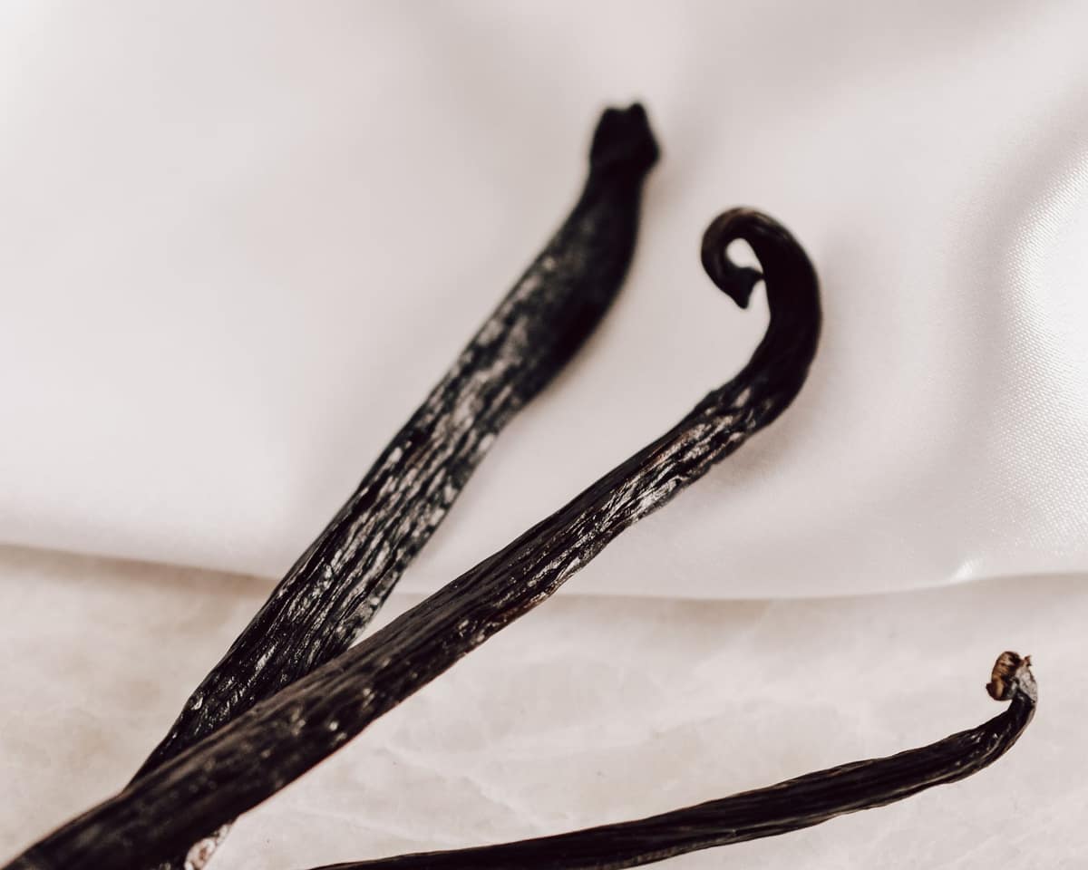 Whole vanilla pods with a vanilla blossom