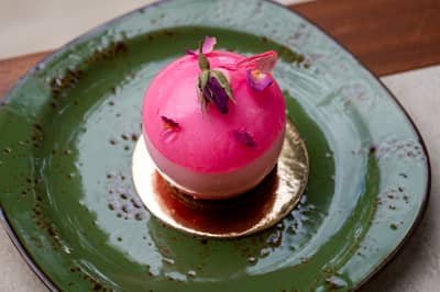 A velvet-finish dessert dome with a soft matte coating
